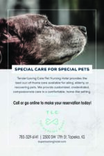Tender Loving Care Pet Nursing Hotel