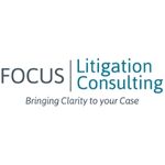 Focus Litigation Consulting LLC