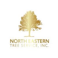 NorthEasternTree
