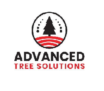 Advanced Tree Solutions