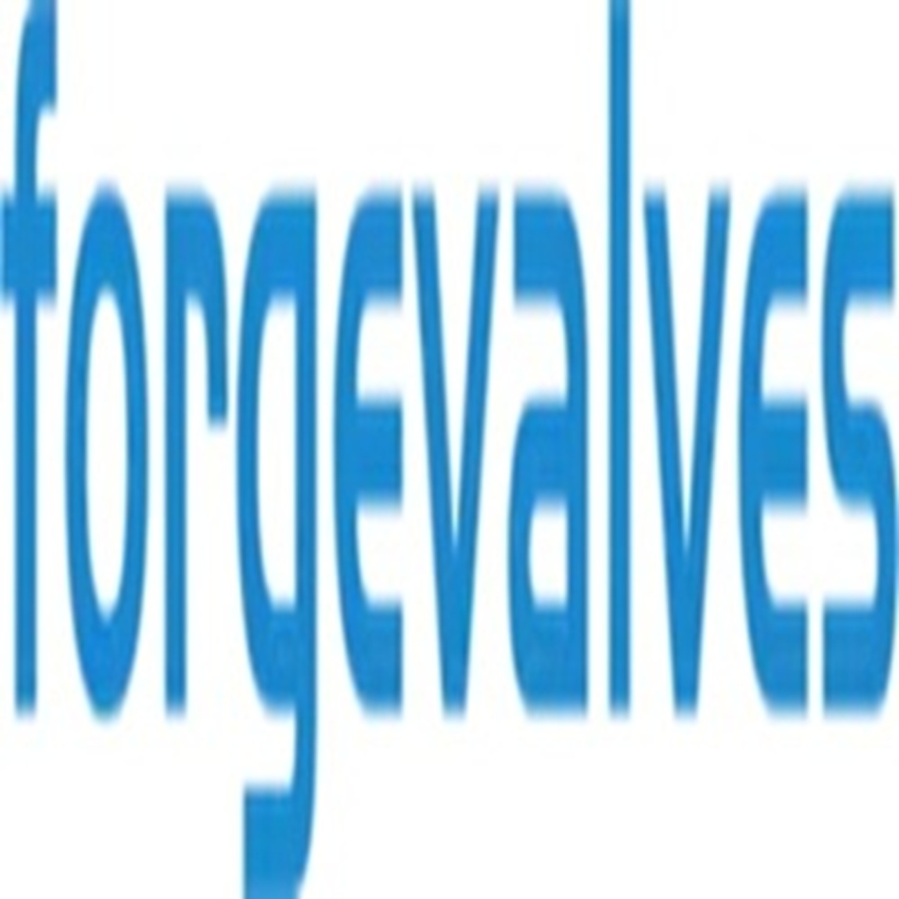 China Forged Valves Co., Ltd. China Forged Valves Co., Ltd.