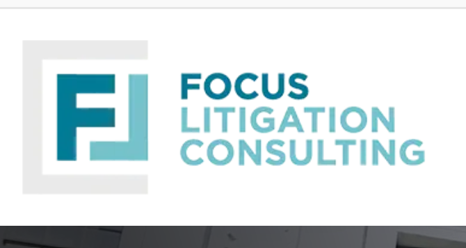Focus Litigation Consulting LLC