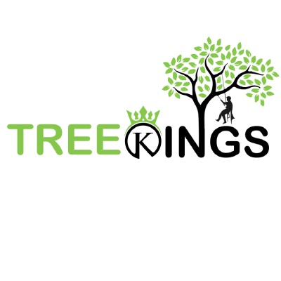 Tree Kings